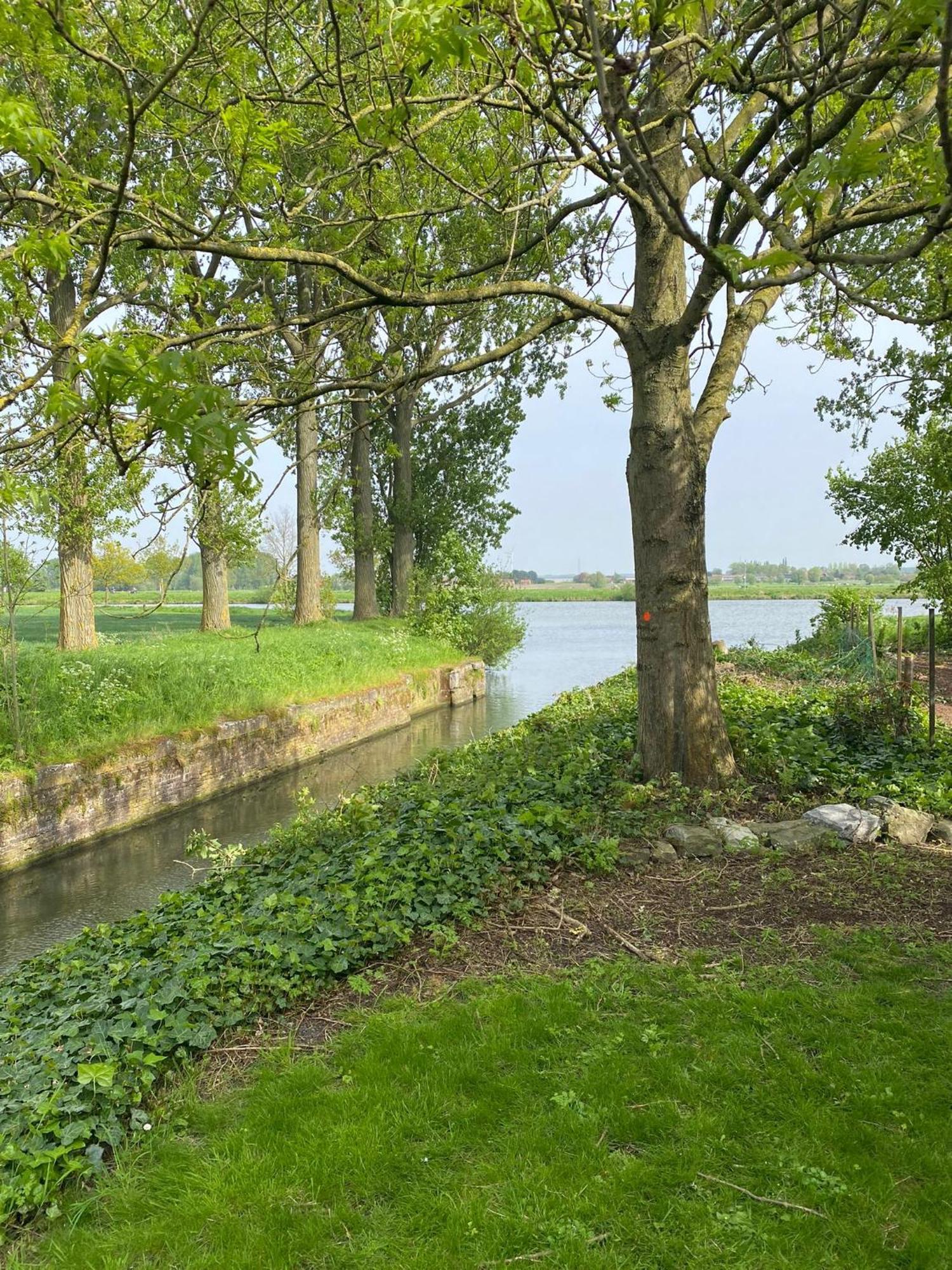 Huisje Aan De Schelde Spiere Exterior photo